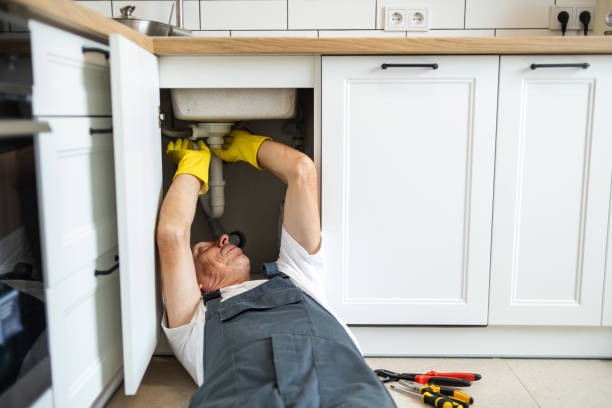 Best Plumbing Repair Near Me  in Hamlet, IN