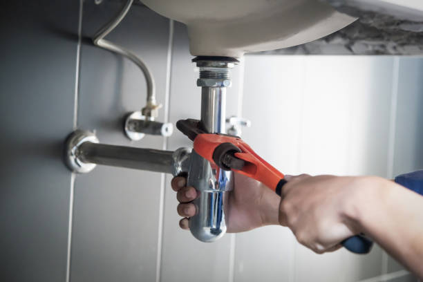Best Clogged Drain Plumber  in Hamlet, IN